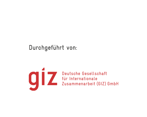 logo_giz_1_final_DE